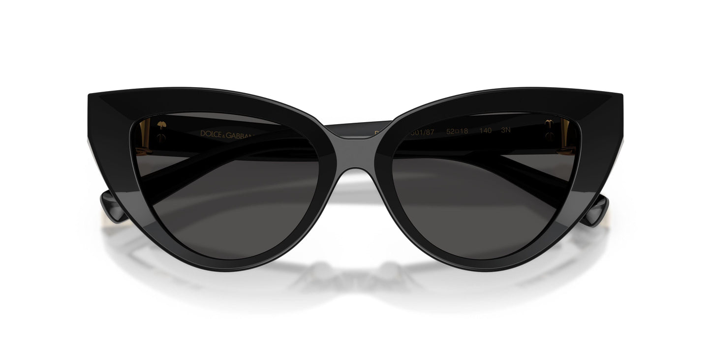 Dolse & Gabana  4497 Sunglasses