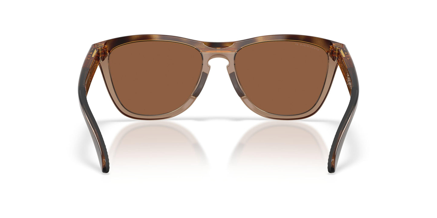 Oakley Frogskins Range Xl A 9503A Sunglasses