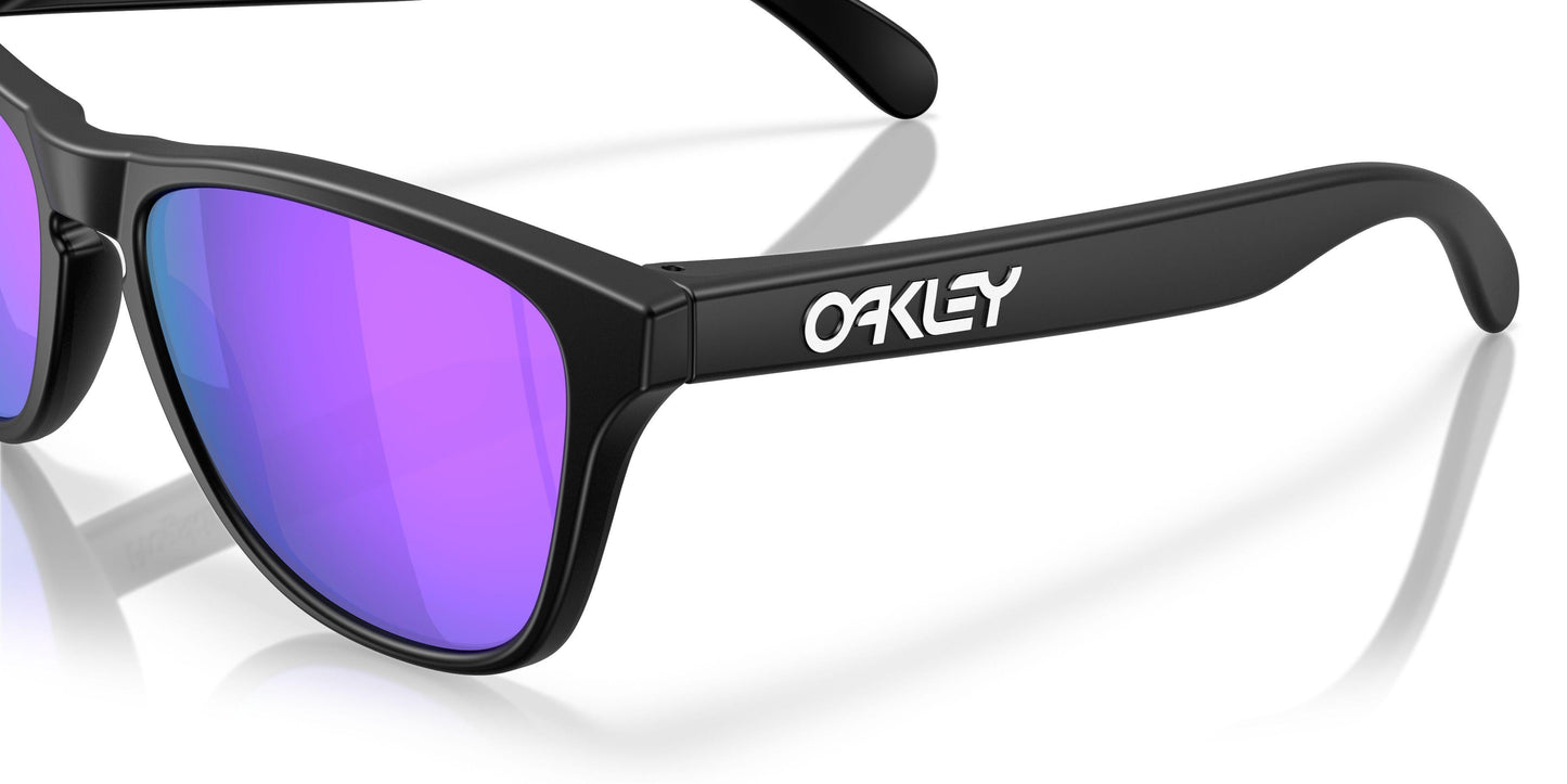 Oakley Frogskins S 9508 Sunglasses