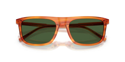 Dolse & Gabana  4542 Sunglasses