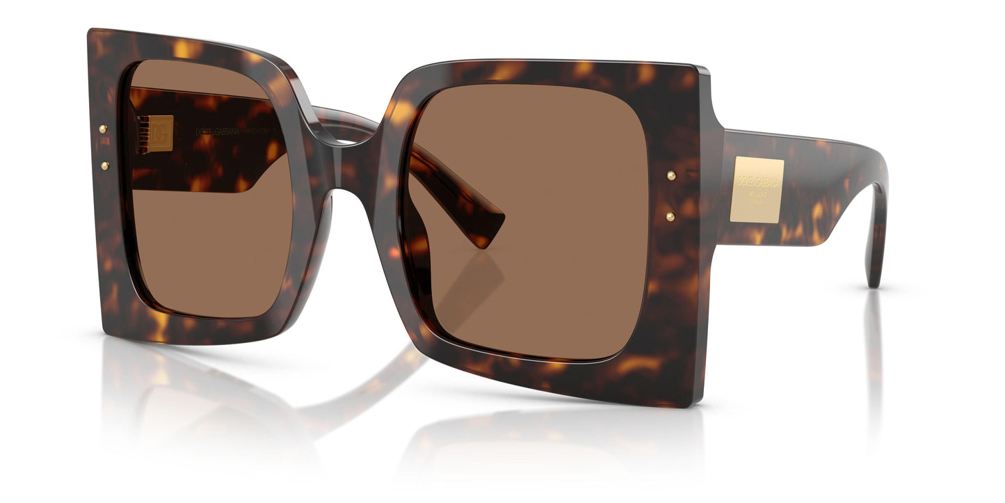 Dolse & Gabana  4490 Sunglasses