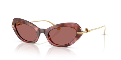 Dolse & Gabana  4473 Sunglasses
