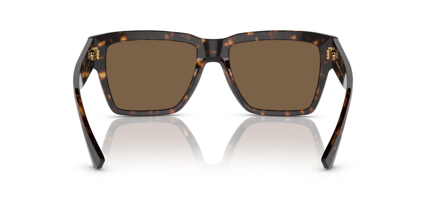 Dolse & Gabana  4431 Sunglasses