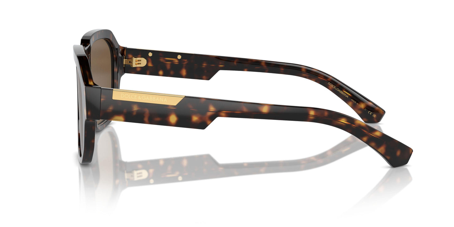 Dolse & Gabana  4464F Sunglasses