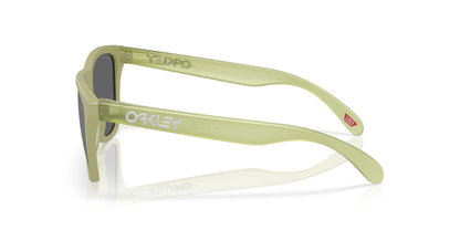 Oakley Frogskins 9245 Sunglasses