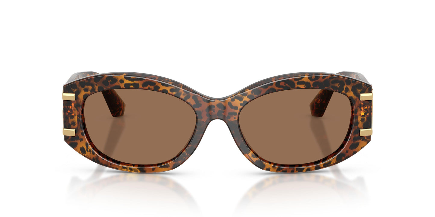 Dolse & Gabana  4502 Sunglasses