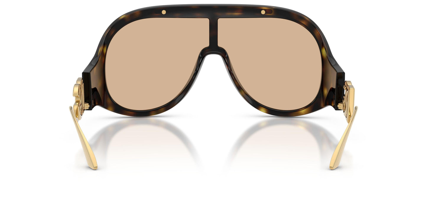 Dolse & Gabana  6202 Sunglasses