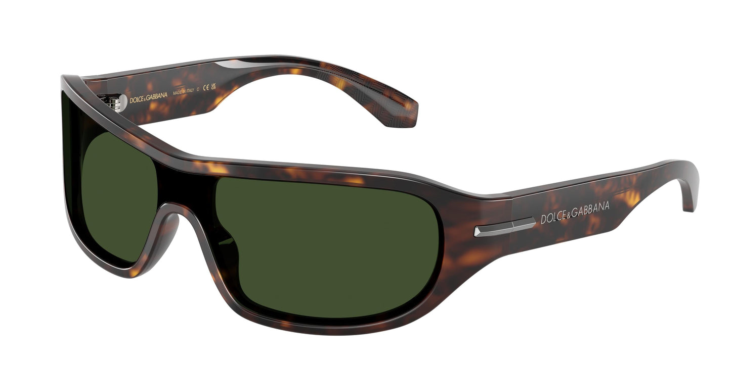 Dolse & Gabana  4486 Sunglasses