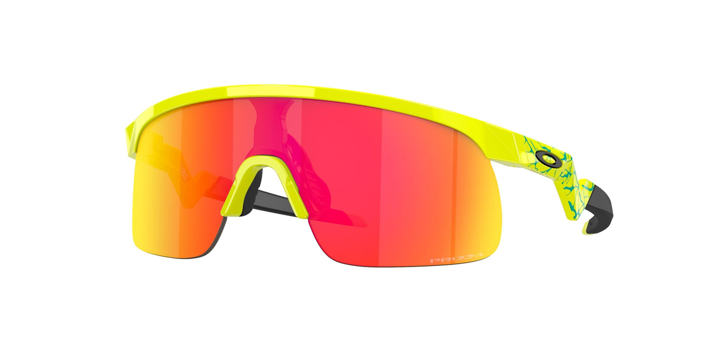 Oakley Resistor 9010 Sunglasses