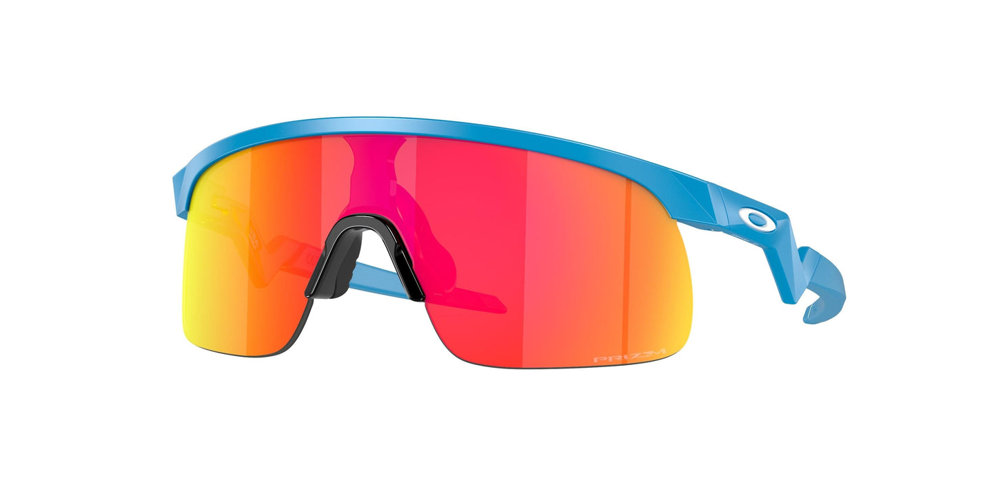 Oakley Resistor 9010 Sunglasses