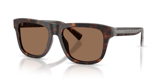 Dolse & Gabana  4545 Sunglasses