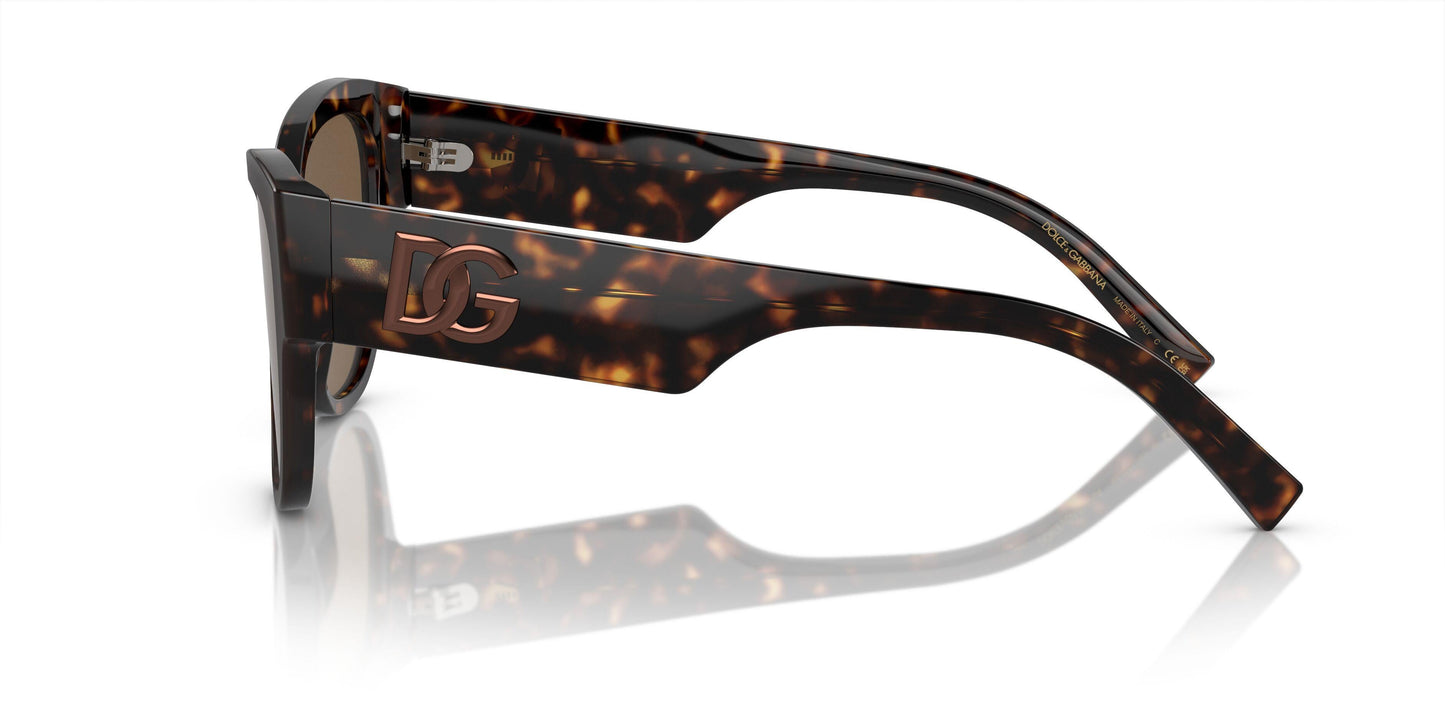 Dolse & Gabana  4449 Sunglasses