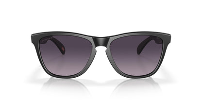 Oakley Frogskins 9245 Sunglasses