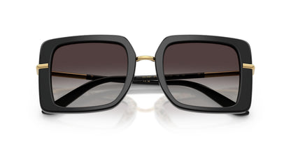 Dolse & Gabana  4491 Sunglasses