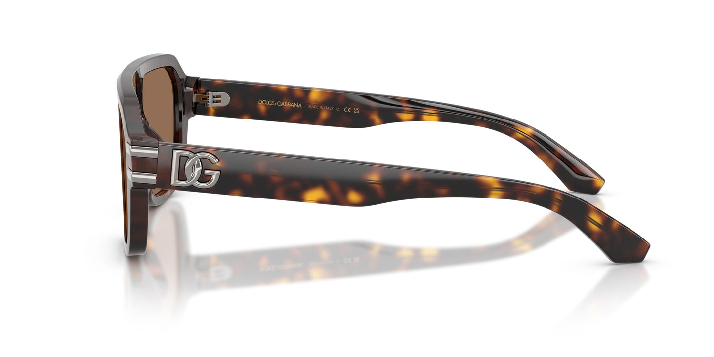Dolse & Gabana  4507 Sunglasses