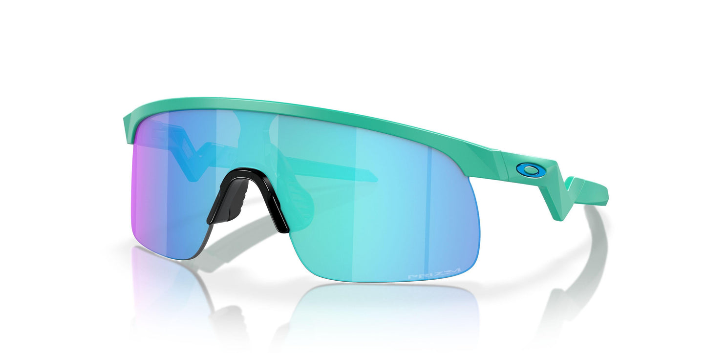 Oakley Resistor 9010 Sunglasses