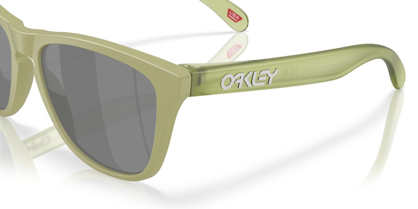 Oakley Frogskins 9245 Sunglasses