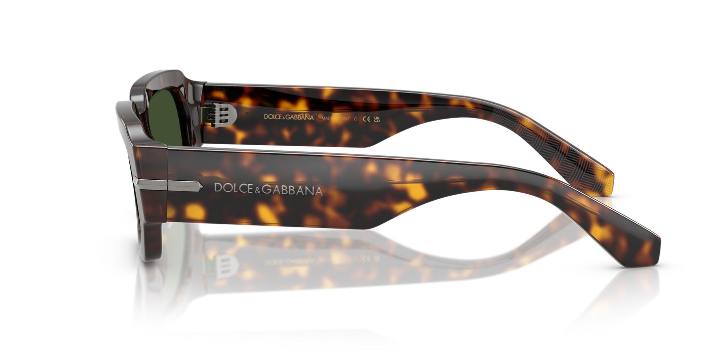 Dolse & Gabana  4485F Sunglasses
