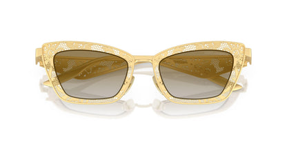 Dolse & Gabana  2311 Sunglasses