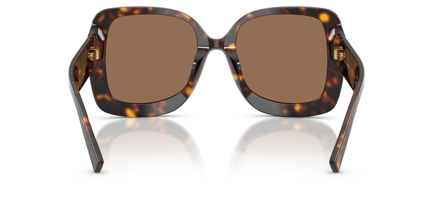 Dolse & Gabana  4513 Sunglasses