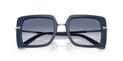 Dolse & Gabana  4491 Sunglasses