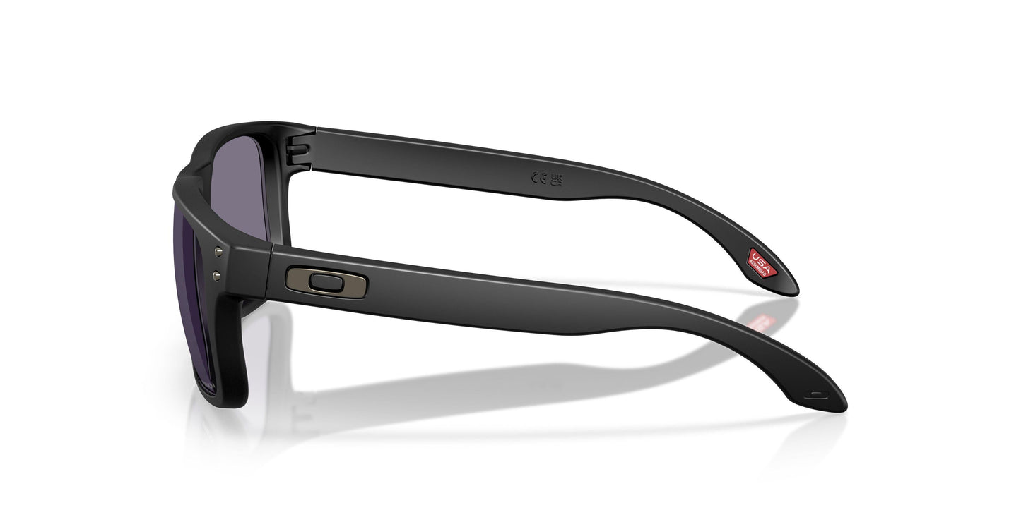 Oakley Holbrook S 9509 Sunglasses