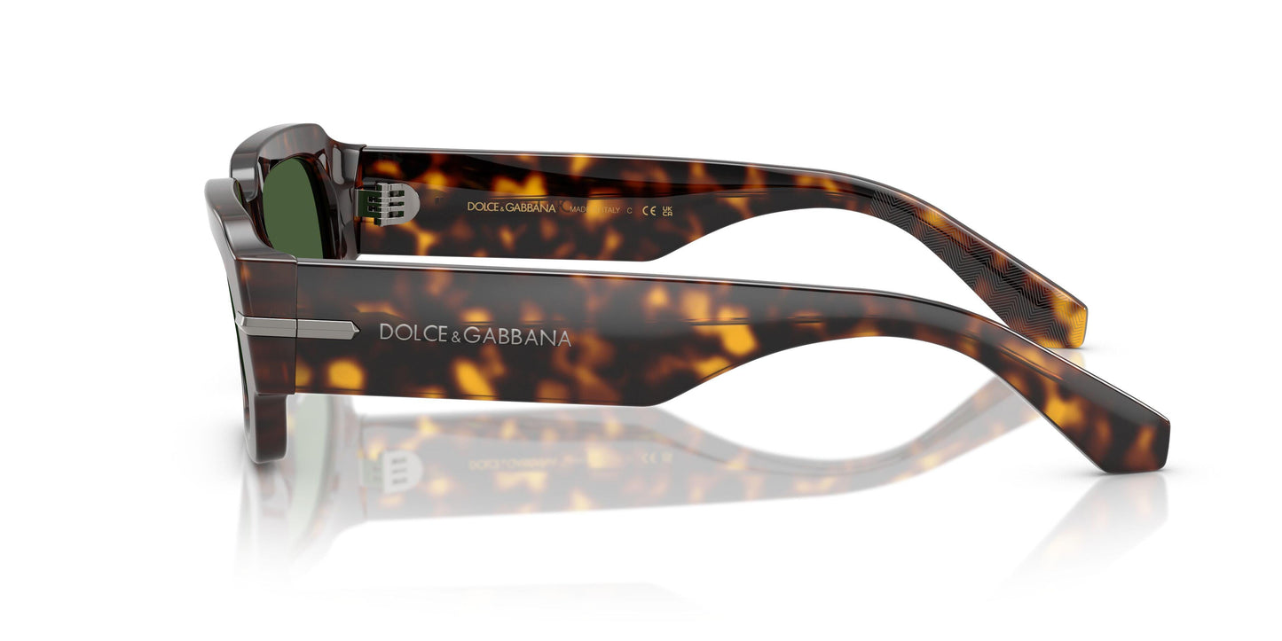 Dolse & Gabana  4485 Sunglasses
