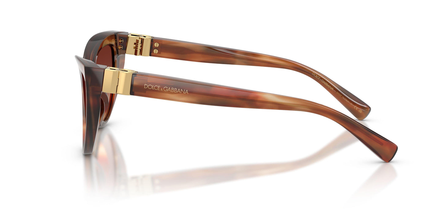 Dolse & Gabana  4497 Sunglasses