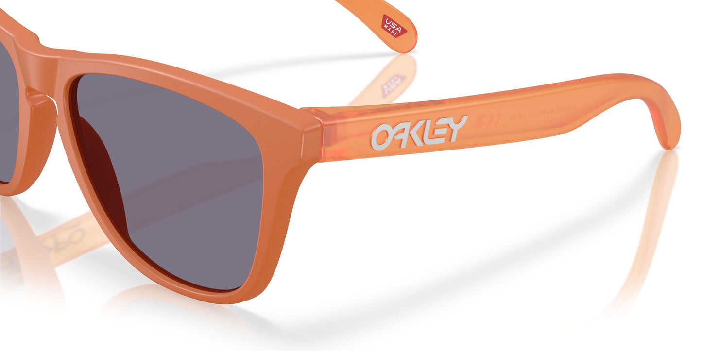 Oakley Frogskins 9245 Sunglasses