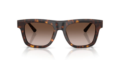 Dolse & Gabana  4521 Sunglasses