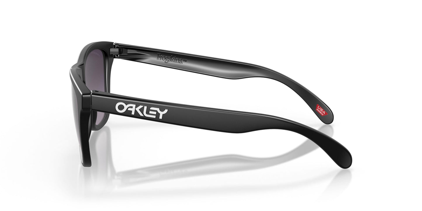 Oakley Frogskins 9245 Sunglasses