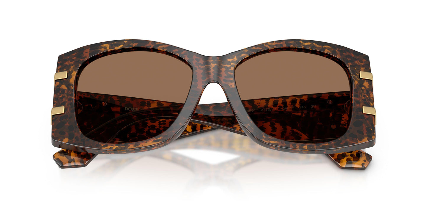 Dolse & Gabana  4501 Sunglasses