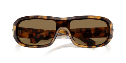 Dolse & Gabana  4486 Sunglasses