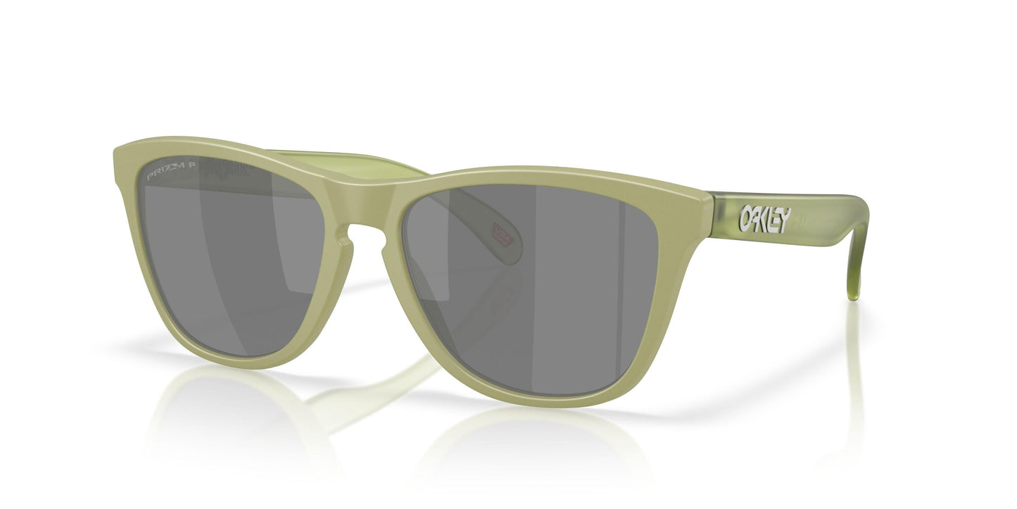 Oakley Frogskins 9245 Sunglasses