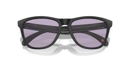 Oakley Frogskins 9245 Sunglasses