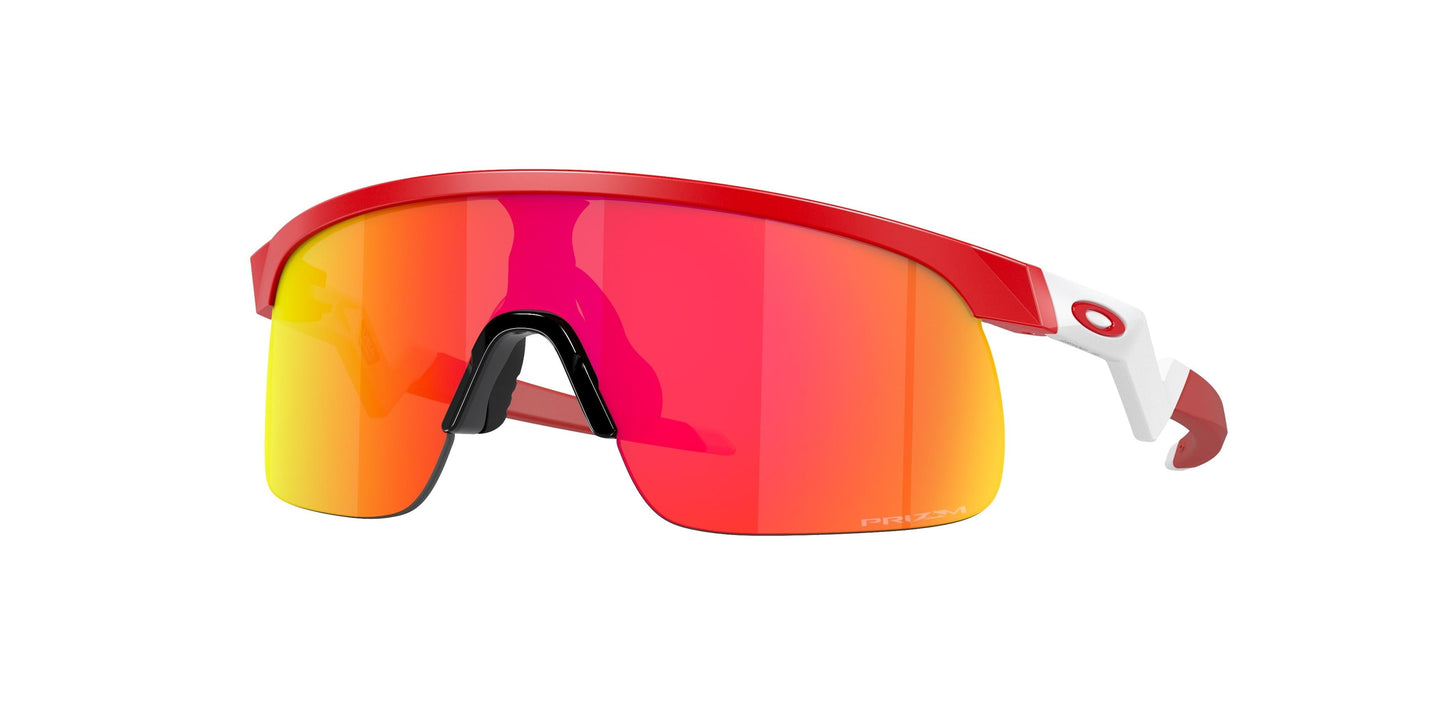 Oakley Resistor 9010 Sunglasses
