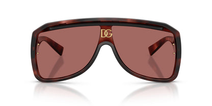Dolse & Gabana  6205 Sunglasses