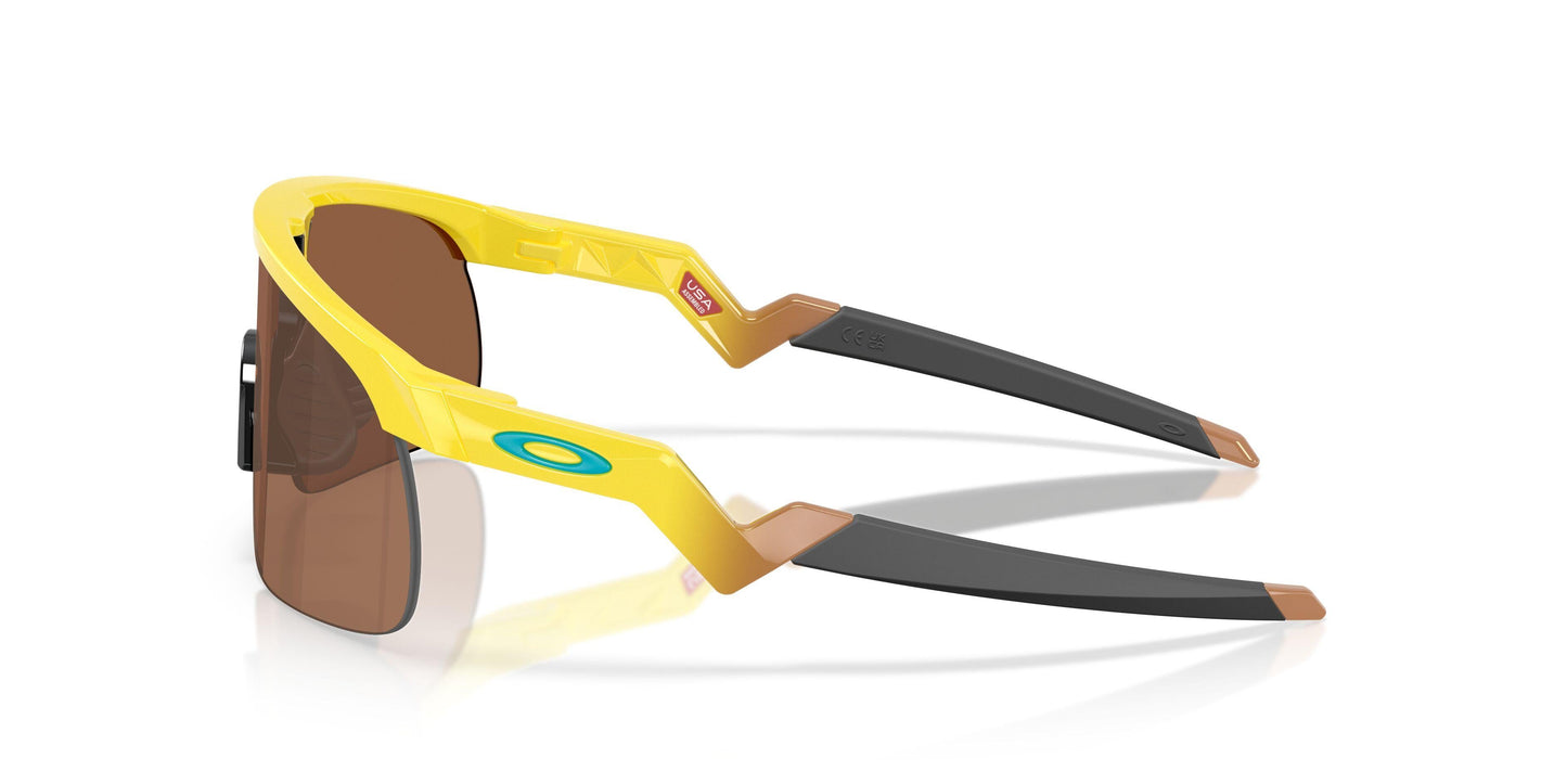 Oakley Resistor 9010 Sunglasses