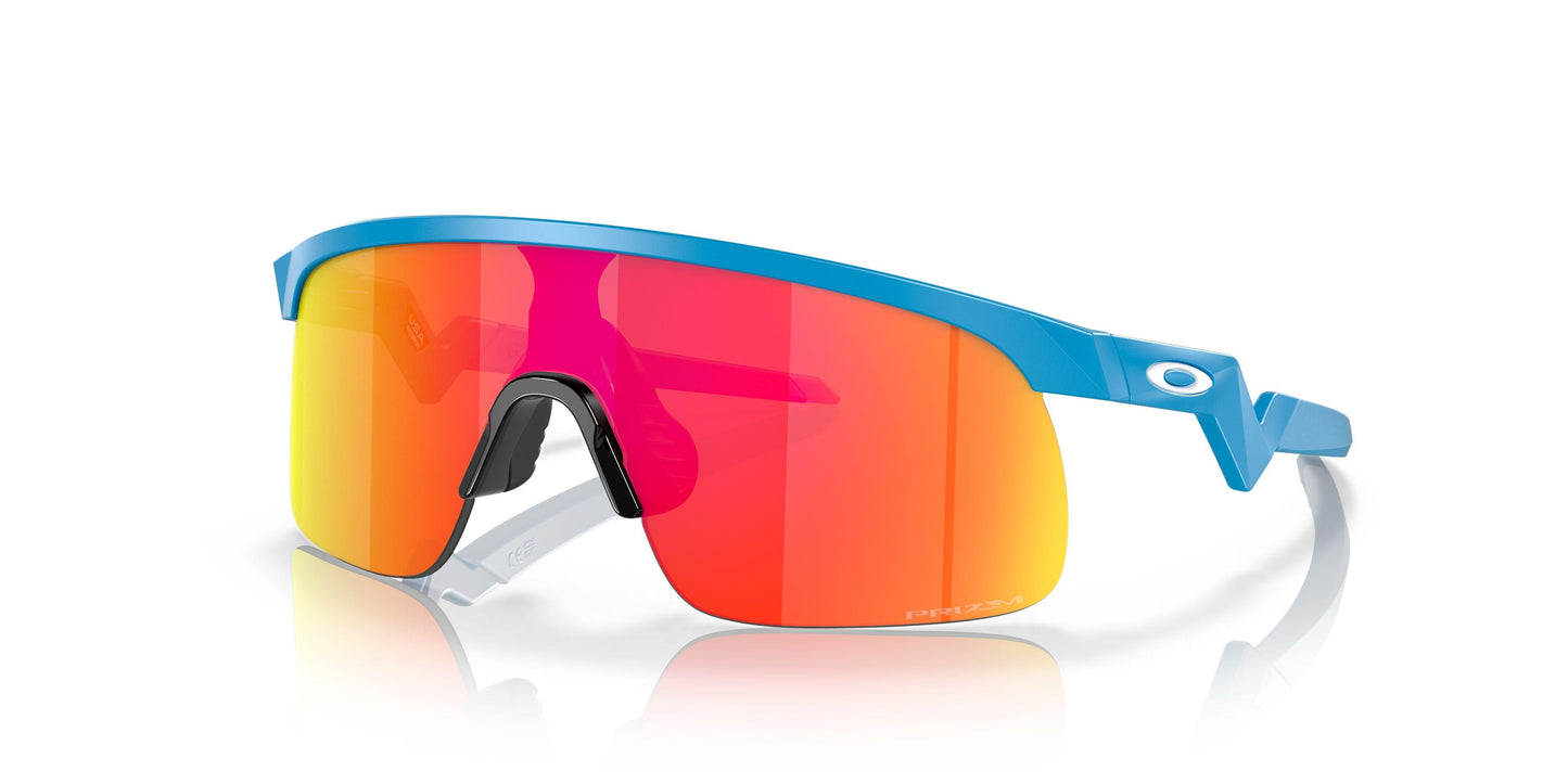 Oakley Resistor 9010 Sunglasses