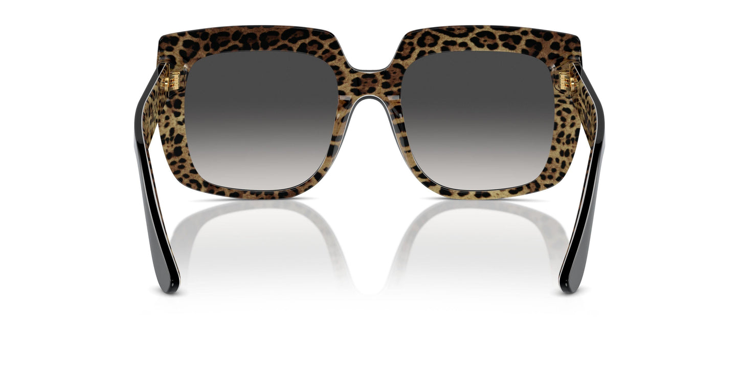 Dolse & Gabana  4414 Sunglasses