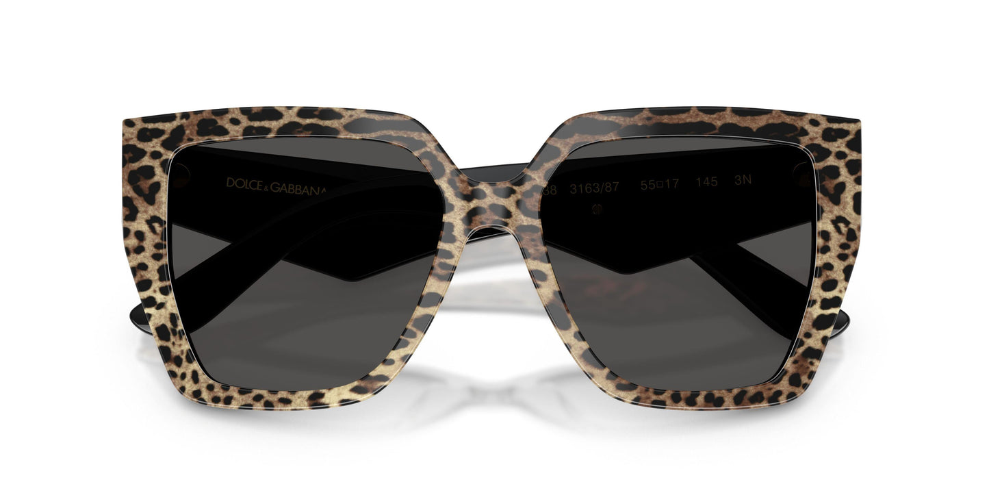Dolse & Gabana  4438 Sunglasses