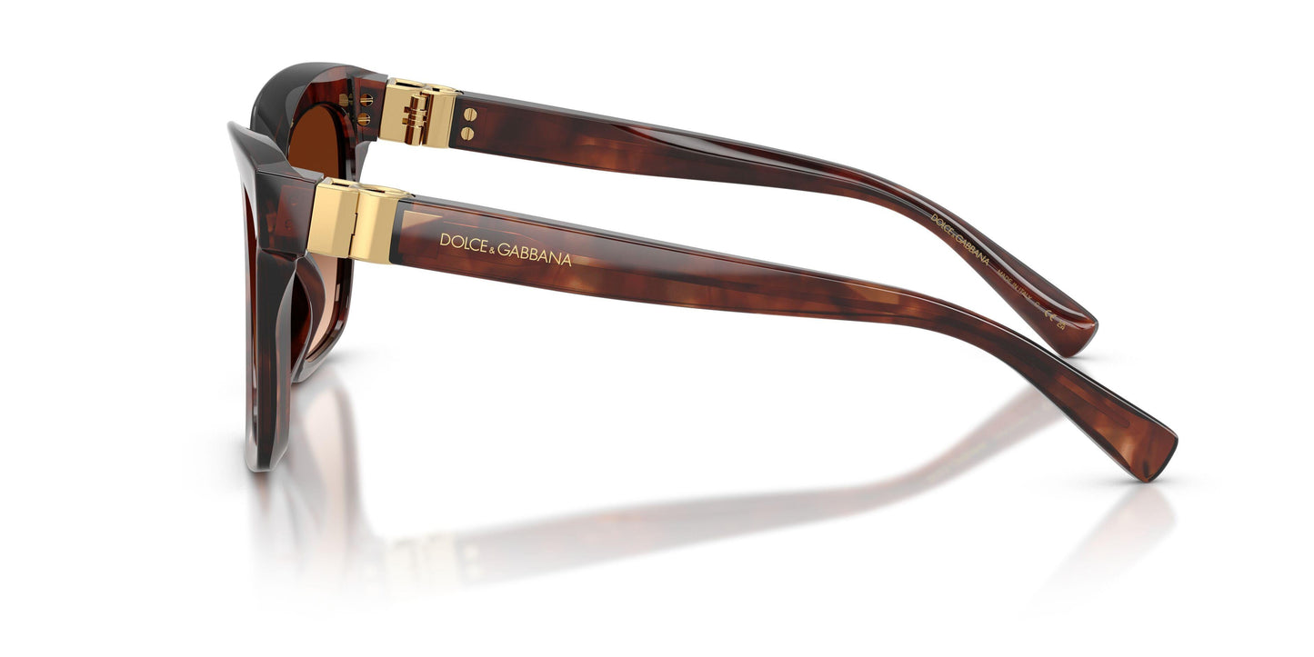 Dolse & Gabana  4498 Sunglasses