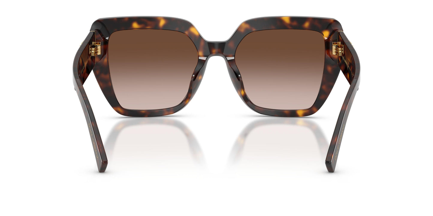 Dolse & Gabana  4538 Sunglasses
