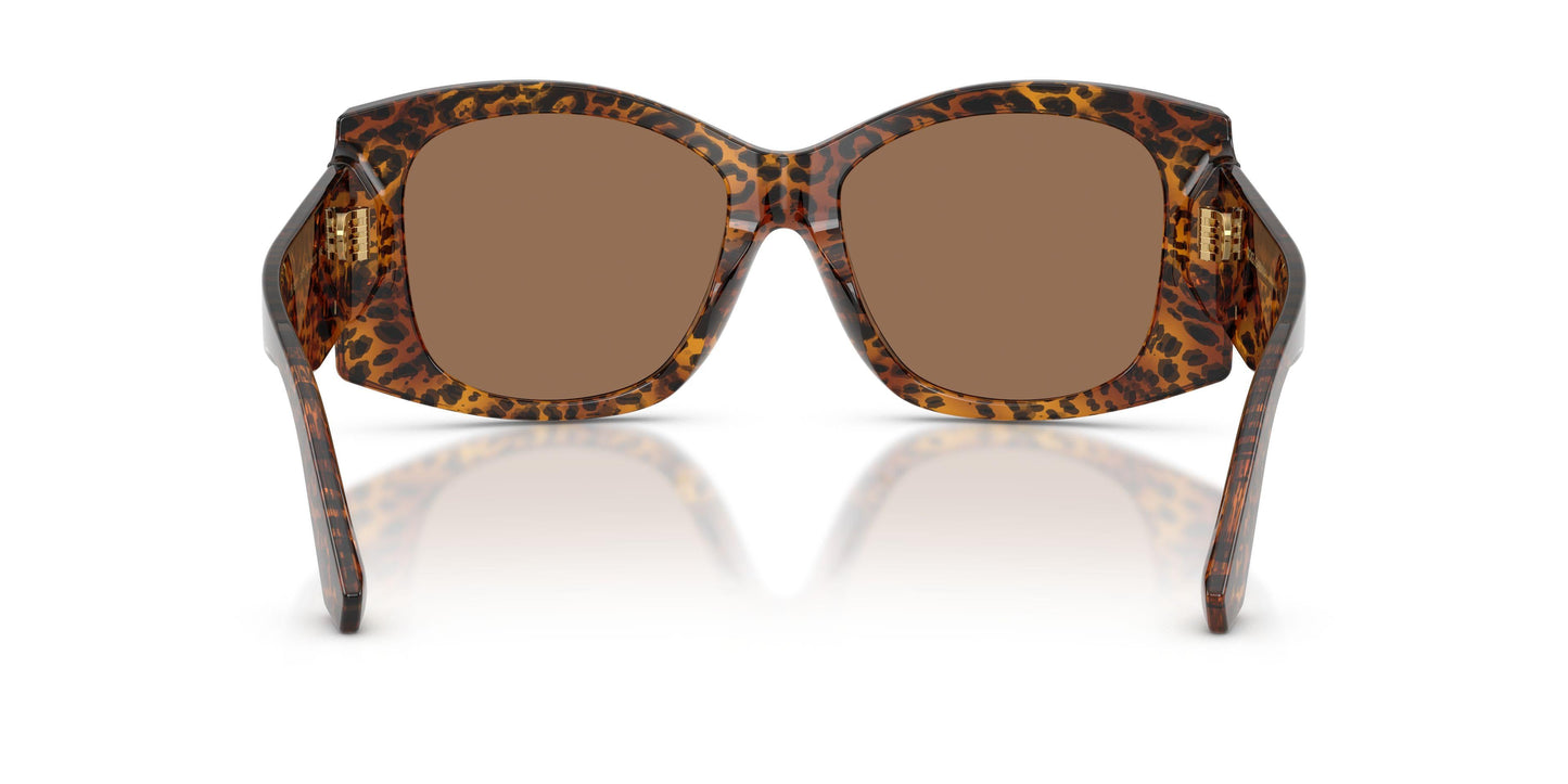 Dolse & Gabana  4501 Sunglasses