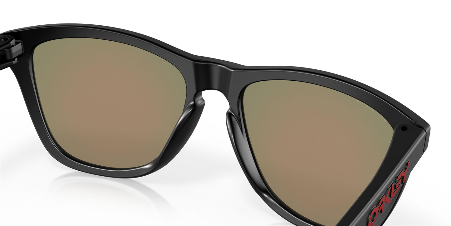 Oakley Frogskins 9245 Sunglasses