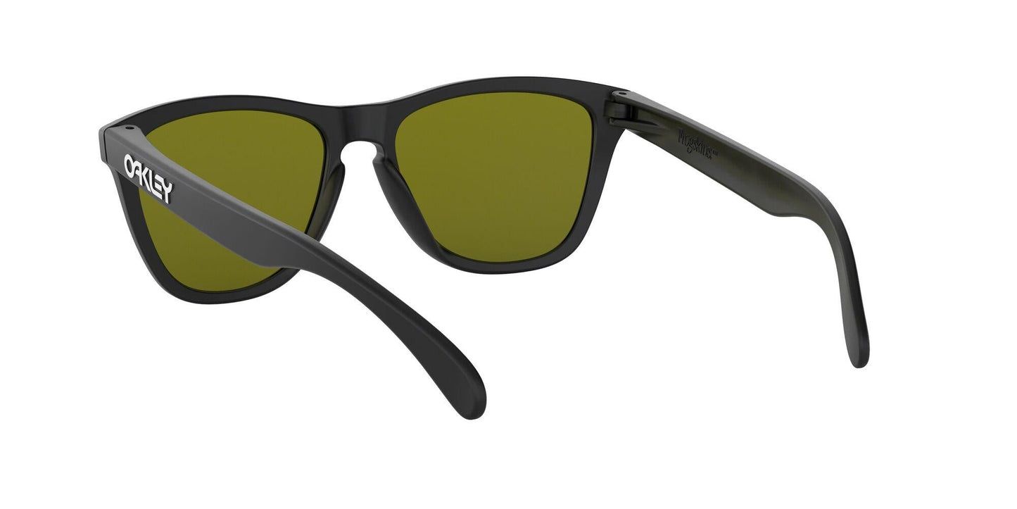 Oakley Frogskins 9013 Sunglasses