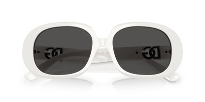 Dolse & Gabana  4476 Sunglasses