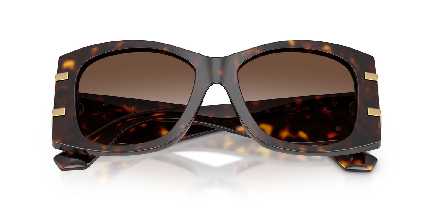Dolse & Gabana  4501 Sunglasses
