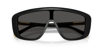 Dolse & Gabana  4520 Sunglasses