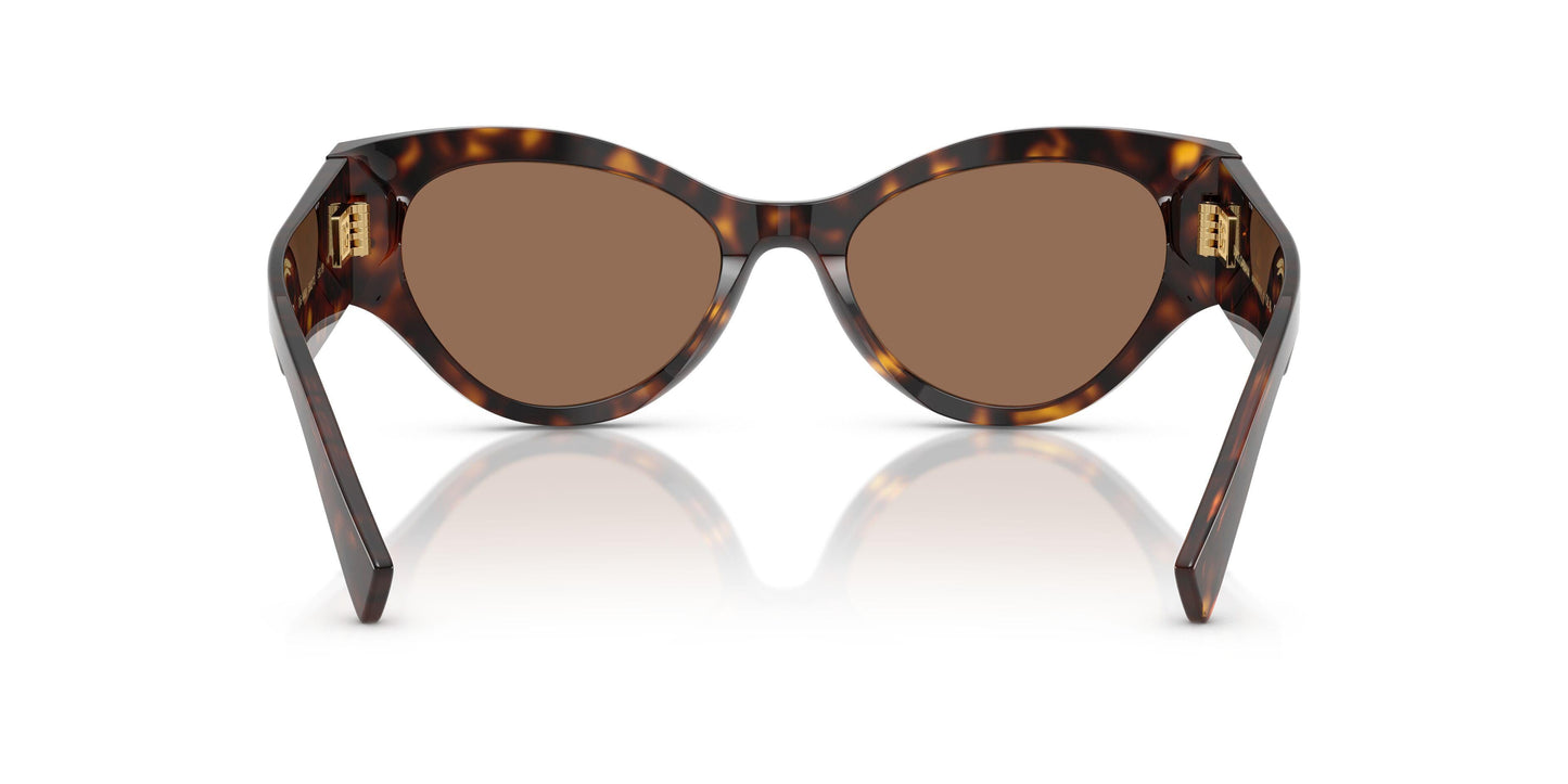Dolse & Gabana  4480 Sunglasses